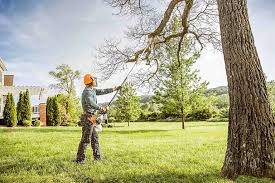  Alamo, TN Tree Services Pros